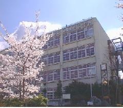 spring