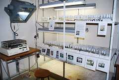 植物培養室