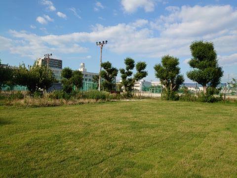 芝生広場.jpg