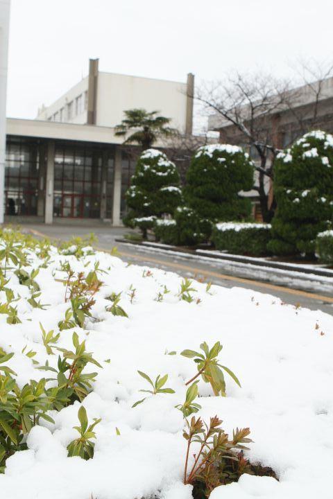 入ってすぐ（雪）.jpg