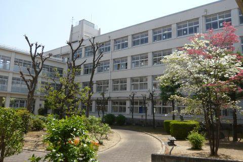 中庭④.JPG
