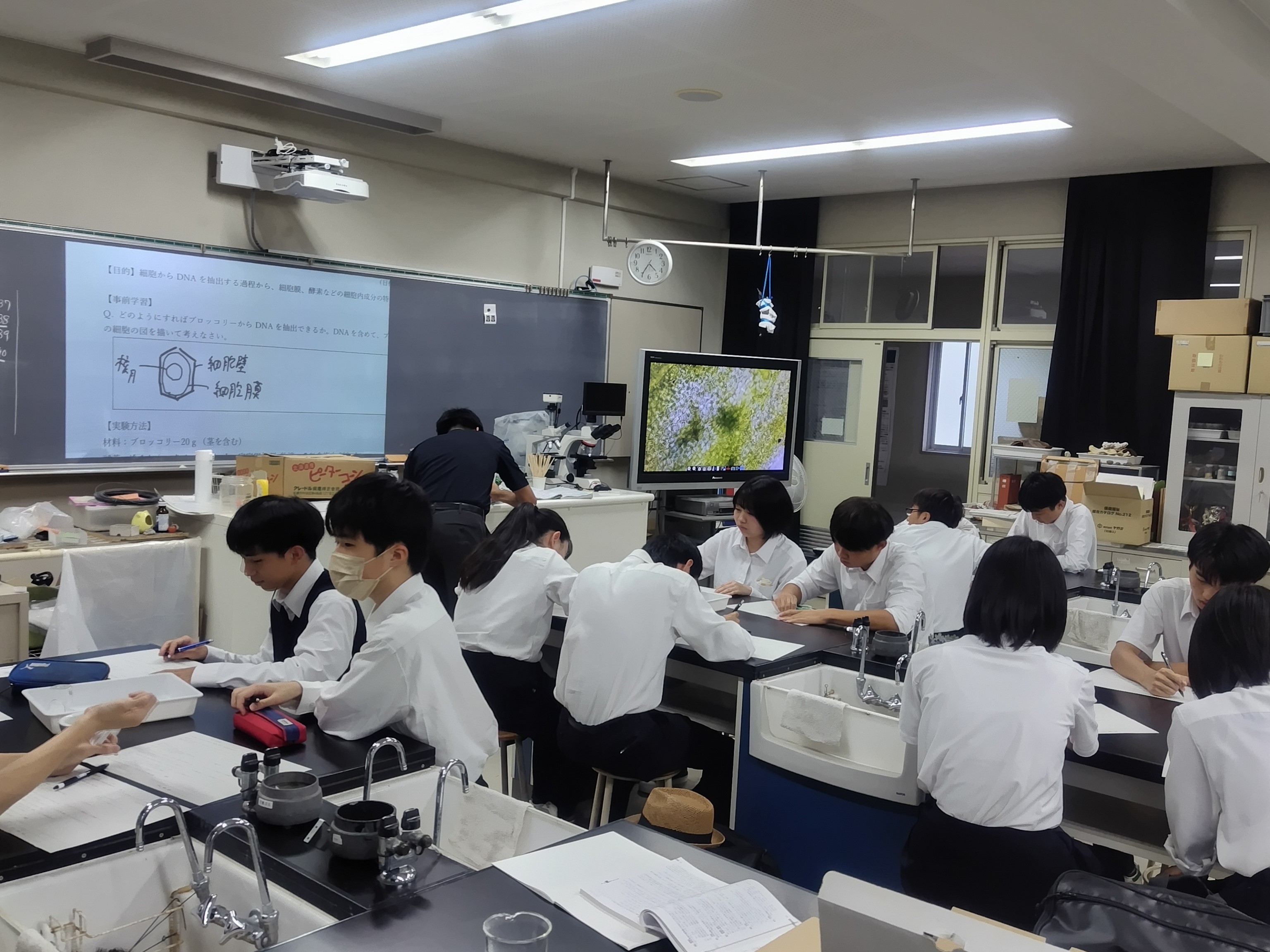 生物部