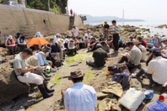 生物部海岸実習