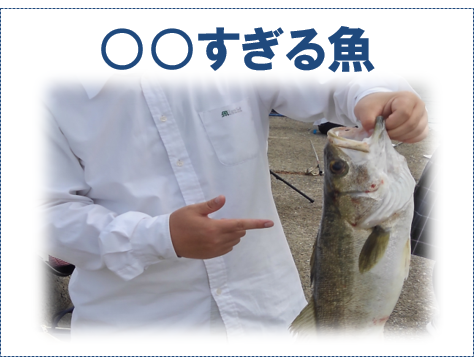 魚