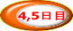 4,5日目