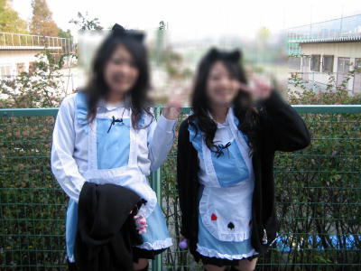 模擬