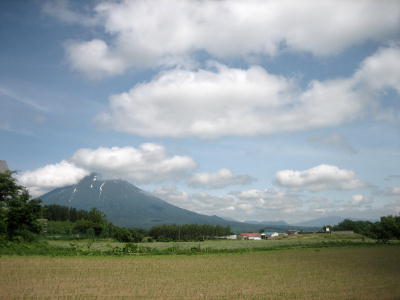 修学旅行