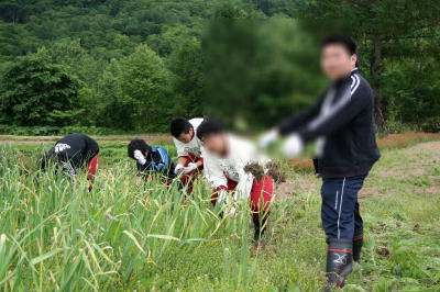 修学旅行