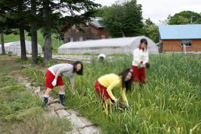修学旅行