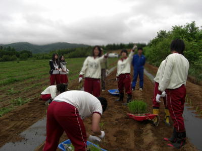 修学旅行