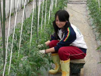 修学旅行