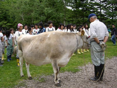 修学旅行