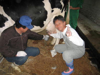 修学旅行