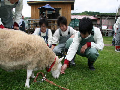 修学旅行
