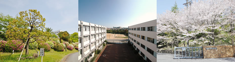 大阪府立泉北高等学校