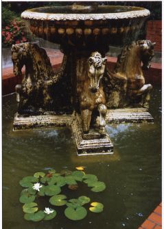 中庭の噴水