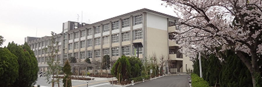 学校 春の風景