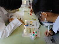 241115_化学基礎(実験1).JPG