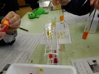 241115_化学基礎(実験1-1).JPG