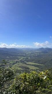 IMG_9272.jpeg