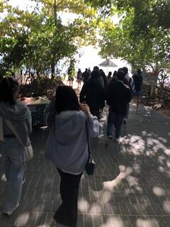 IMG_9804.jpeg