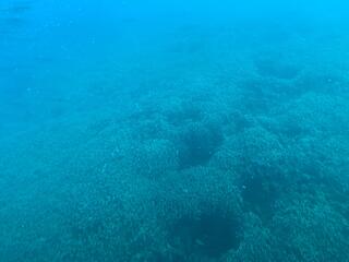 IMG_2053.jpeg