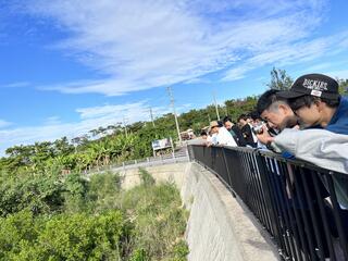 IMG_7785.jpeg
