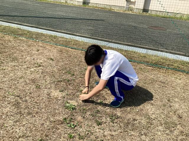B923E22E-C259-47FA-94F6-91CE361CA9BF.jpeg