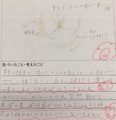 ＠観察記録3.png