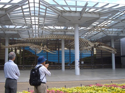 CIMG9062_03_400.jpg