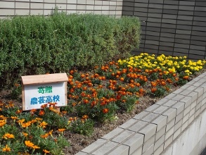 joho20160623-2.jpg