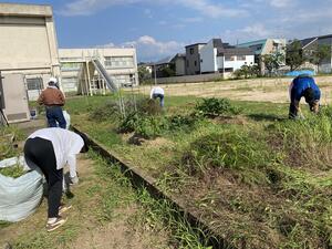 IMG_7319.jpeg