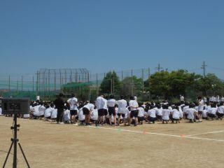 DSC03595s.jpg