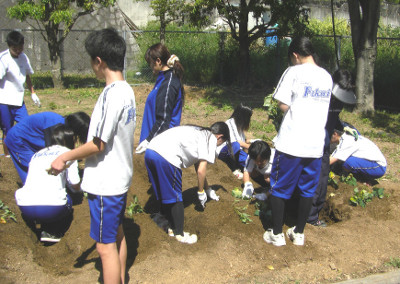 130524_2.jpg