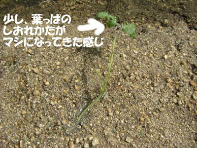 130612_p2.JPG