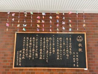73.jpg