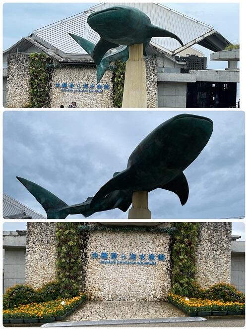 ⑩ー２IMG_9264.jpg