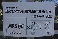 DSC08193.jpg