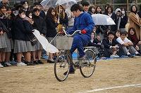DSC08512.jpg