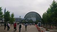 DSC_0334.jpg
