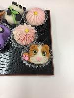 IMG_2966.jpg