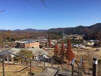 IMG_3195.jpg