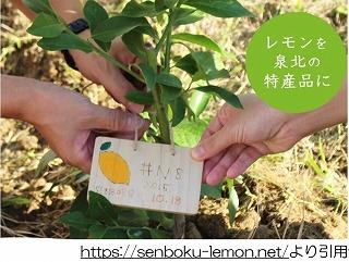 レモンの街ストーリー.jpg