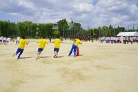 _DSC7094.JPG