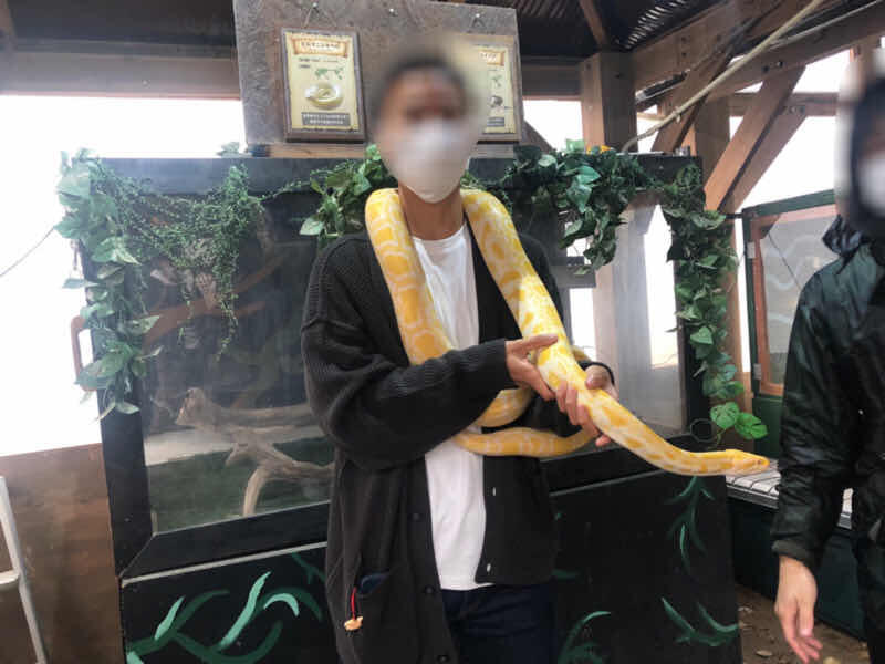 https://www.osaka-c.ed.jp/blog/fuzoku/11th/20C36D2D-2050-4B23-82E8-5D2D7B439453.jpeg