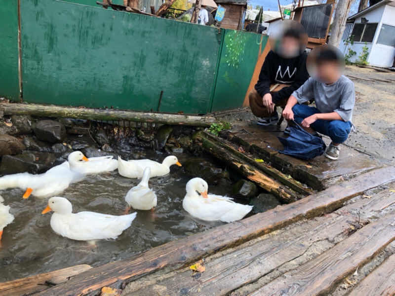 https://www.osaka-c.ed.jp/blog/fuzoku/11th/67EA9E36-7041-4F11-ADEC-10D6511DC2F4.jpeg