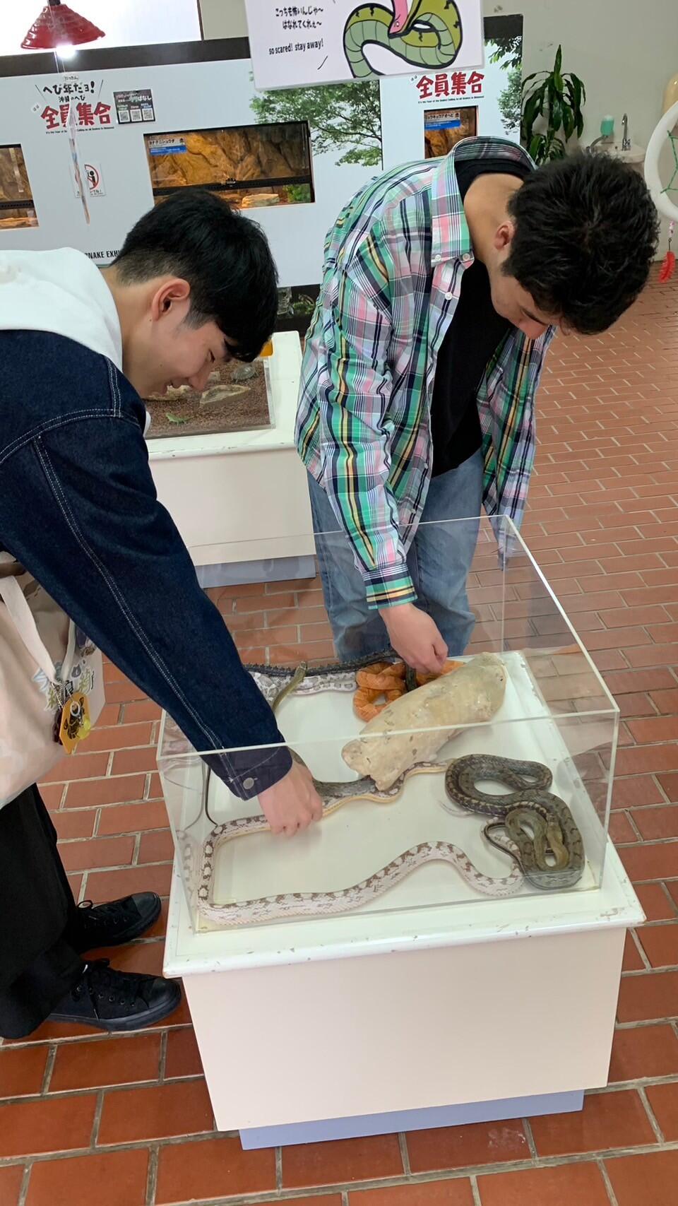 https://www.osaka-c.ed.jp/blog/hakata/now/1706845286629.jpg