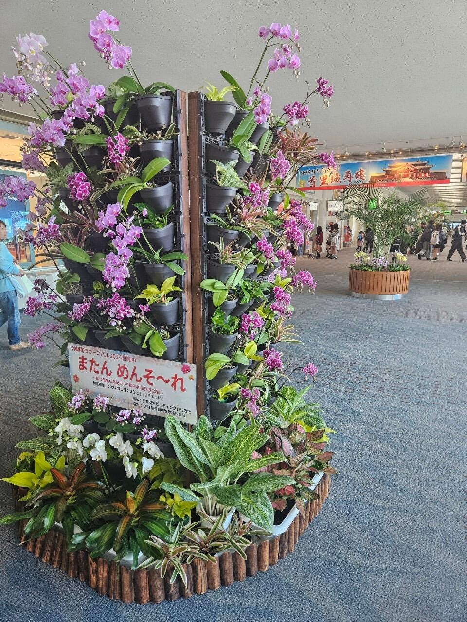 https://www.osaka-c.ed.jp/blog/hakata/now/EE8E06A6-2018-4957-B10A-277BD8920792.jpeg