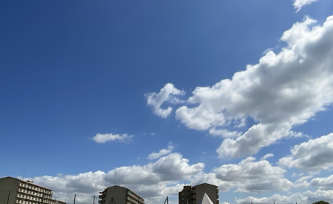 https://www.osaka-c.ed.jp/blog/hakata/now/fe1b0701dbcf11d74e05ca11e967ca04.png