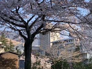 D1BAB7AB-B7D7-4D0D-9CBD-FABA6855E1AA.jpeg